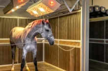 Конноспортивный комплекс «Эквинар» в Атепцево